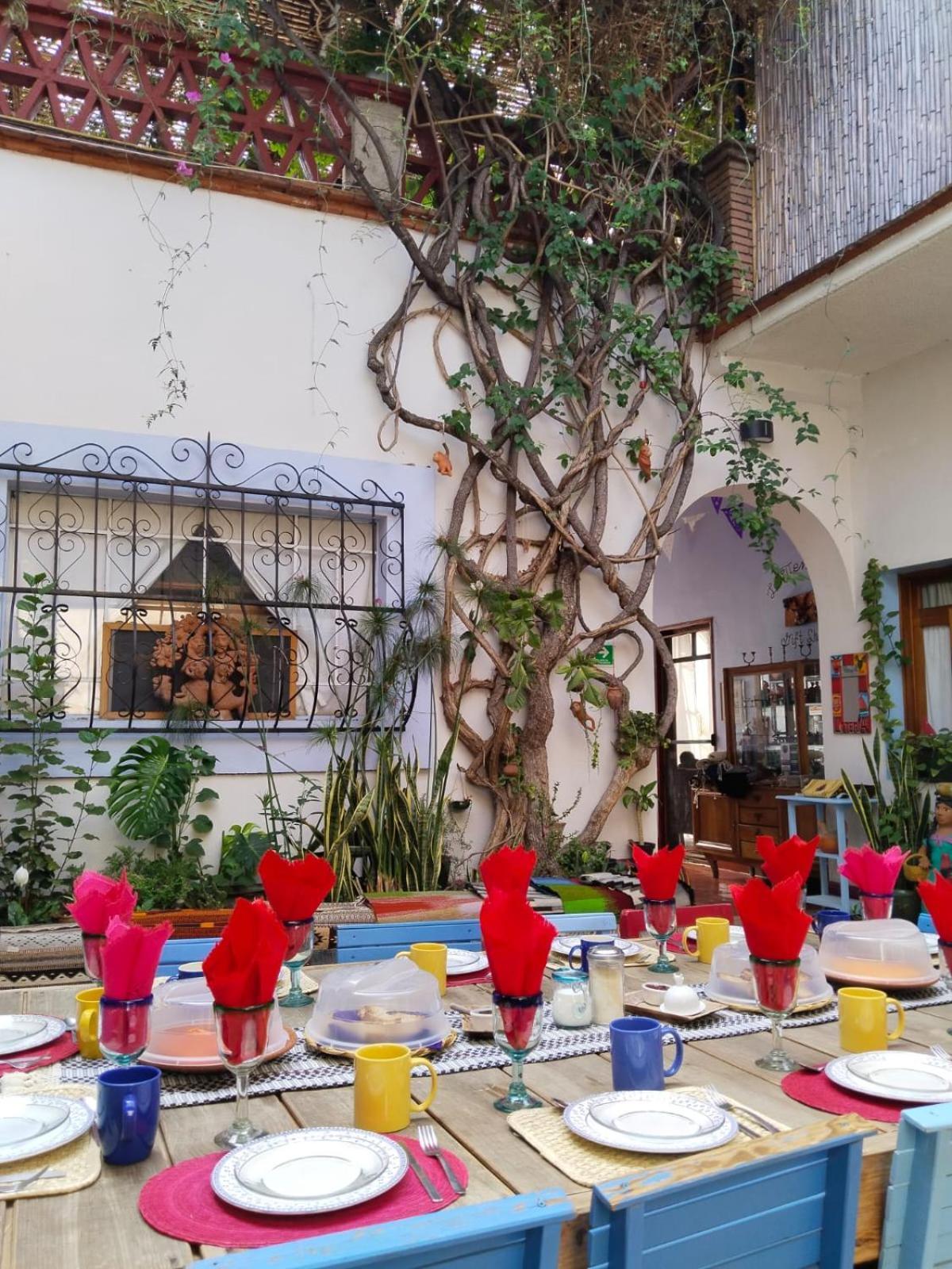 El Diablo Y La Sandia B&B Oaxaca Экстерьер фото