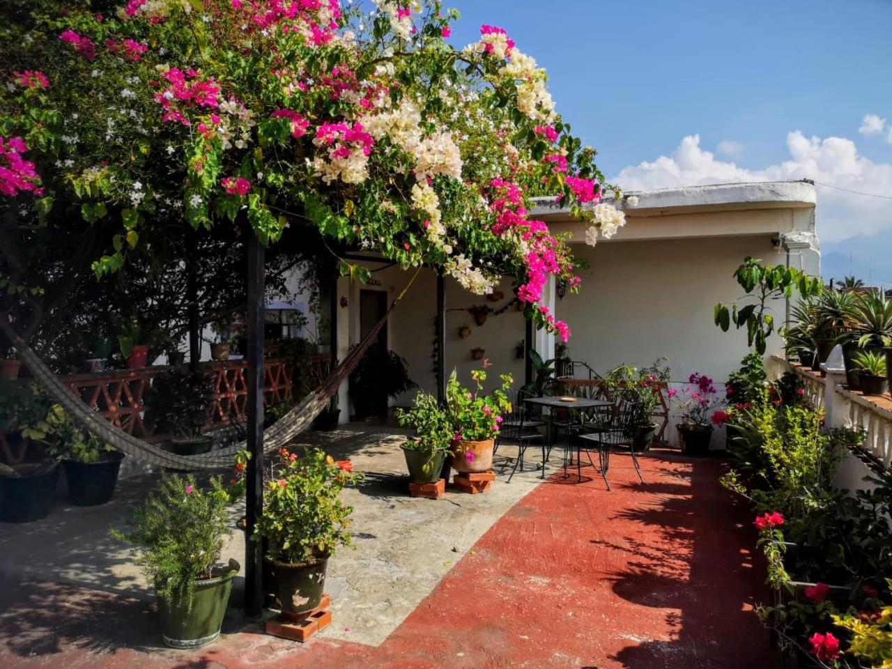 El Diablo Y La Sandia B&B Oaxaca Экстерьер фото